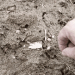 GIF-200218_074706.gif