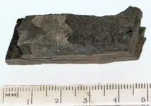 K-Pg Boundary (Drumheller).webp