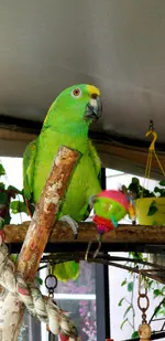 20200124_152308.webp