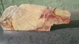 IMAG0247.webp IMAG0247.webp