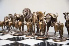 chess.jpg.webp