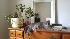 20170709_124622.webp