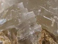 Fracture.webp