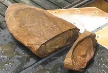 Sandstone Concretion.webp
