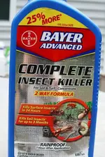 bayer2.webp