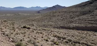 bullfrog mine.webp