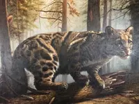 116741_14184-2.webp 116741_14184-2.webp
