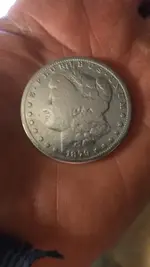 dollar clean.webp