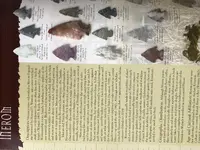 B9AB3D73-64AD-44ED-AC72-20061E3DF7D5.webp