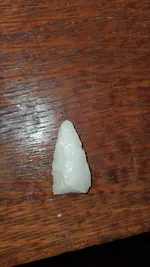 IMG_20200226_180207_02_01.webp
