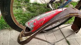 schwinn fenderlight.webp