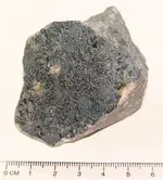 Silver (Native).webp