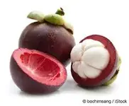 mangosteens.webp