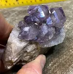 ImageUploadedByTreasureNet.com1582942914.340375.webp
