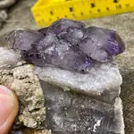 ImageUploadedByTreasureNet.com1582942934.180484.webp