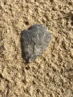 ImageUploadedByTreasureNet.com1582122687.427540.webp