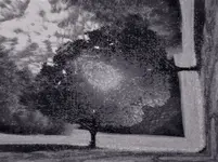 infrared3.webp