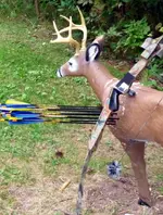 P100052413archery.webp