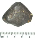 Oriented Chondrite1.webp