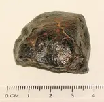 Oriented Chondrite2.webp