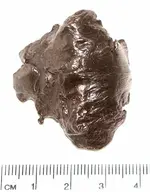 Oriented Iron1.webp