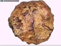 tiny meteorite 2.webp