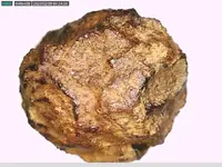 tiny meteorite.webp