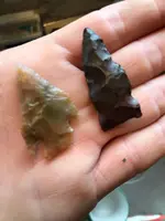 ImageUploadedByTreasureNet.com1584571757.346415.webp ImageUploadedByTreasureNet.com1584571757.346415.webp