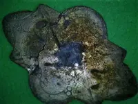 20200126162326.webp