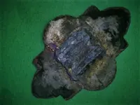 20200126162630.webp