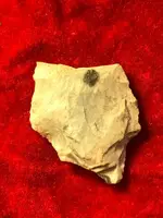 ImageUploadedByTreasureNet.com1583725145.753612.webp