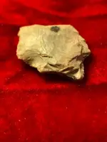 ImageUploadedByTreasureNet.com1583725210.541282.webp
