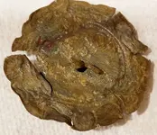 20200115_180443-crop.webp