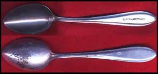burckhardthaus spoon.webp