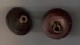 buttons back (2).webp