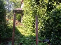 DSCF1664.webp