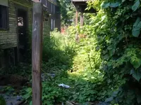 DSCF1665.webp