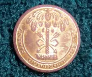 South_Carolina_button 2.webp