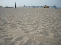 beach 058.webp