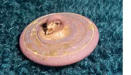 sc button back 2.webp