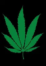 7 leaf.webp