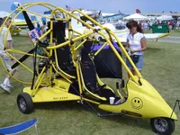 yelbrz1.webp