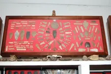 GC Tray 3.webp