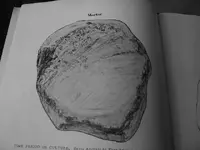 Mortar Pics 013.webp