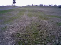 0419081845.webp