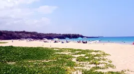 hapuna.webp