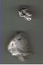 alumnugs (2).webp