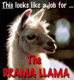drama-llama.webp
