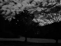 infrared1.webp