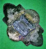 20200126162630-crop.webp